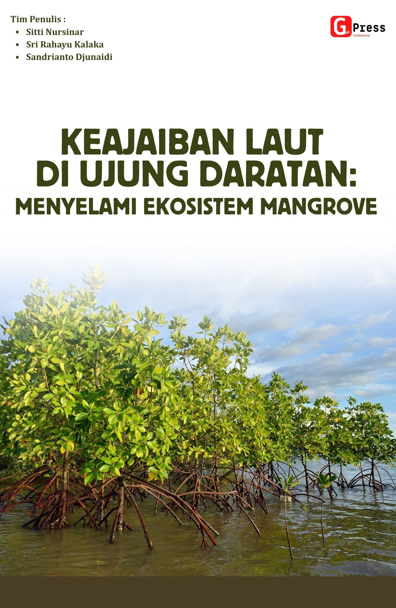 Keajaiban Laut Di Ujung Daratan: Menyelami Ekosistem Mangrove